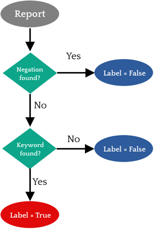 Flow chart showing decision making process for rule-based labellers